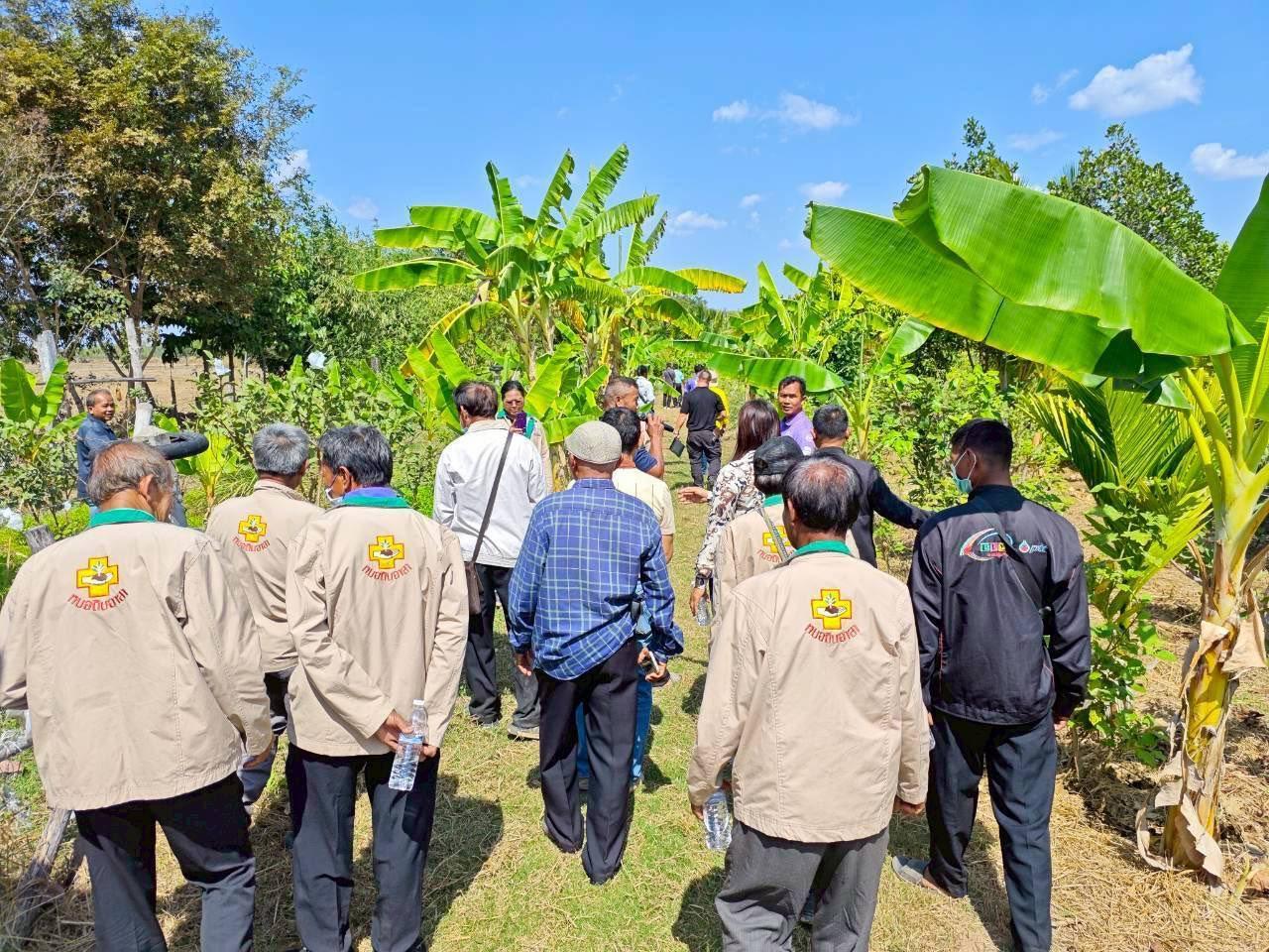 ภาพประกอบที่ 18