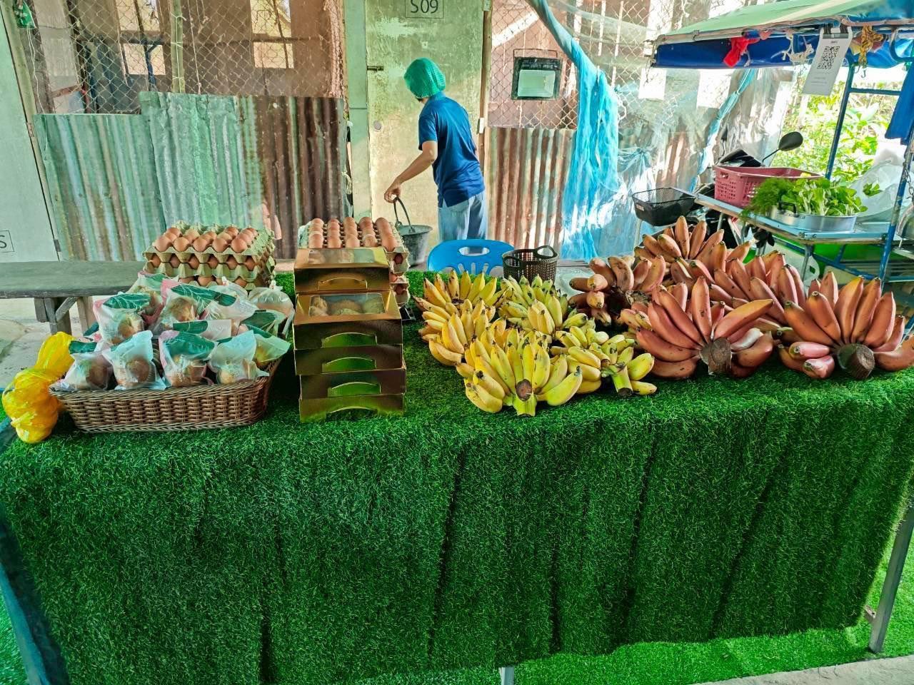 ภาพประกอบที่ 28