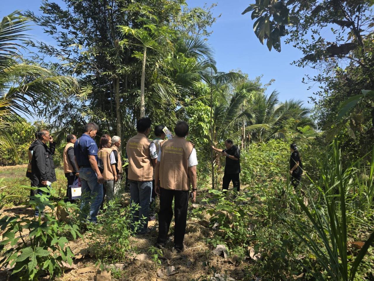 ภาพประกอบที่ 12