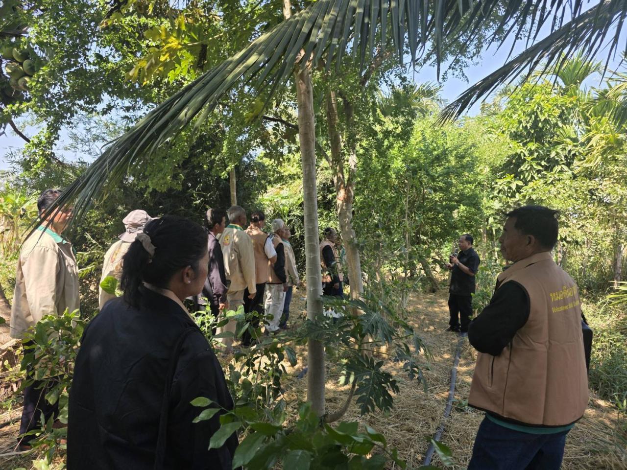 ภาพประกอบที่ 15