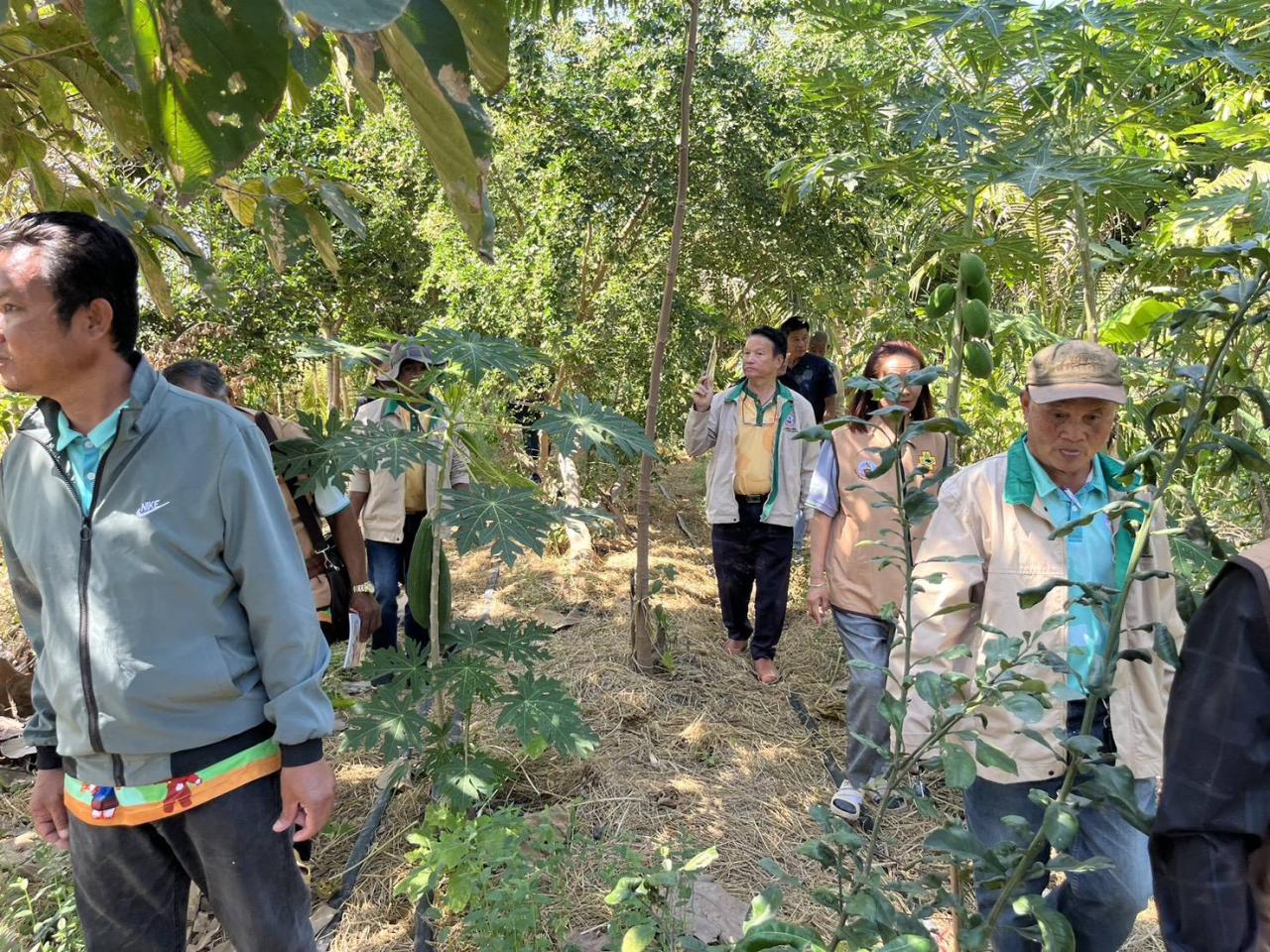 ภาพประกอบที่ 17