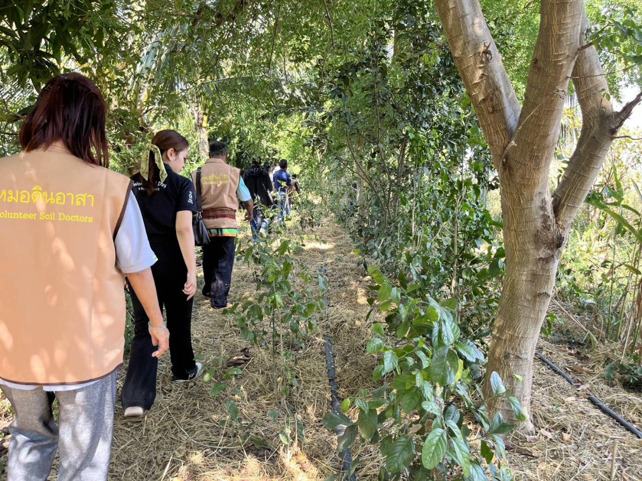 ภาพประกอบที่ 19