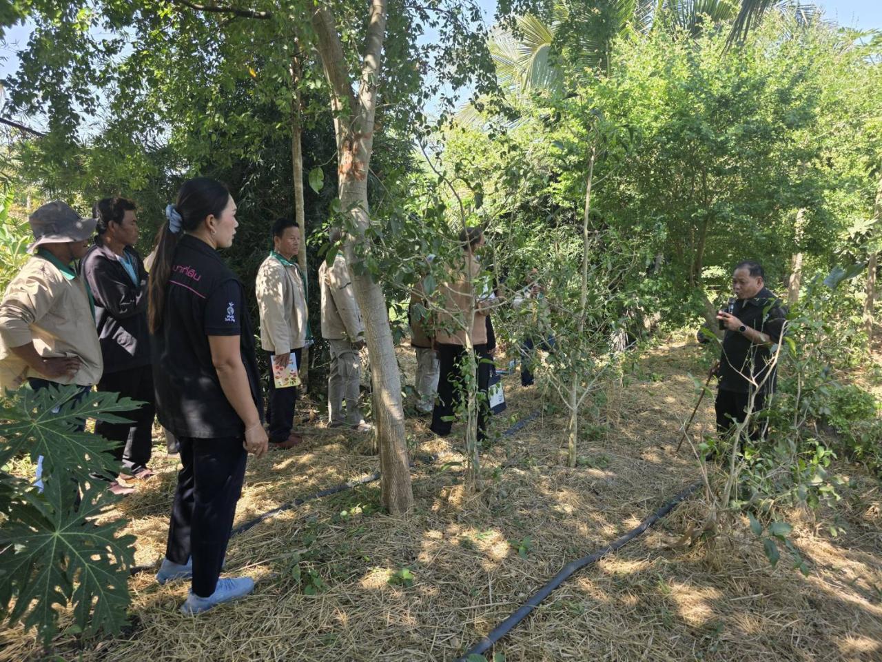 ภาพประกอบที่ 20