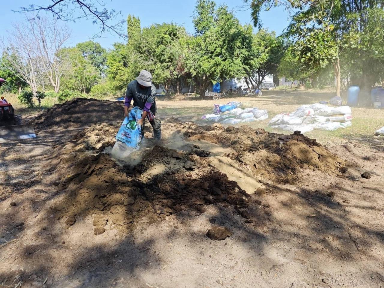 ภาพประกอบที่ 11