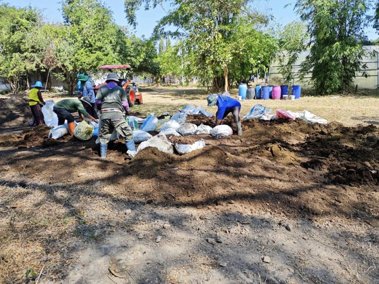 ภาพประกอบที่ 13