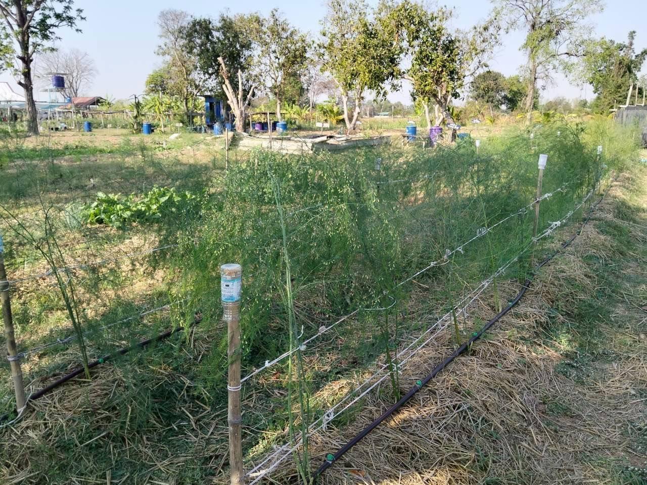 ภาพประกอบที่ 9