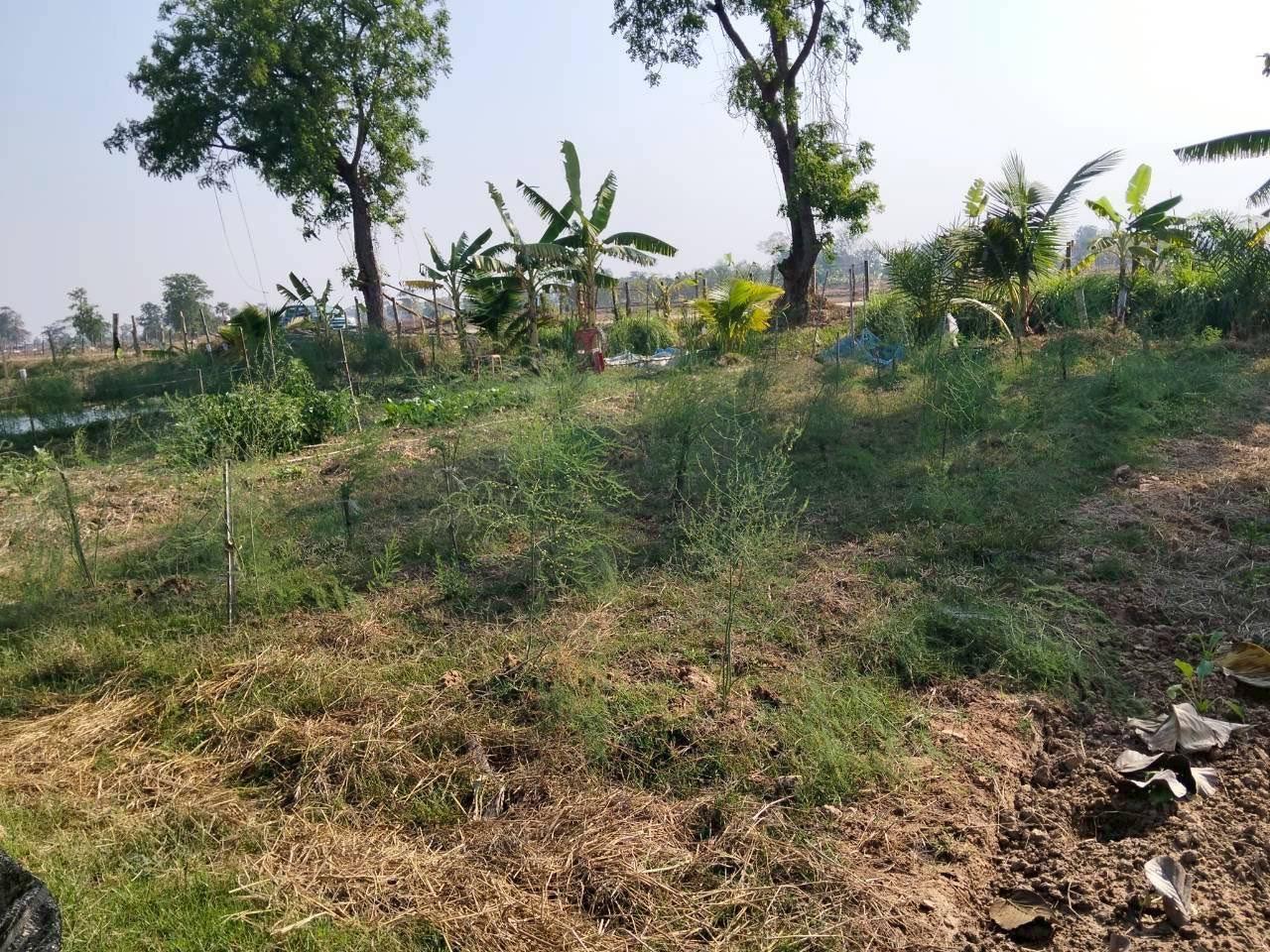 ภาพประกอบที่ 10