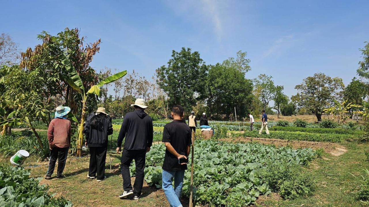 ภาพประกอบที่ 7