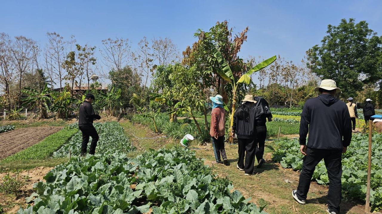 ภาพประกอบที่ 8