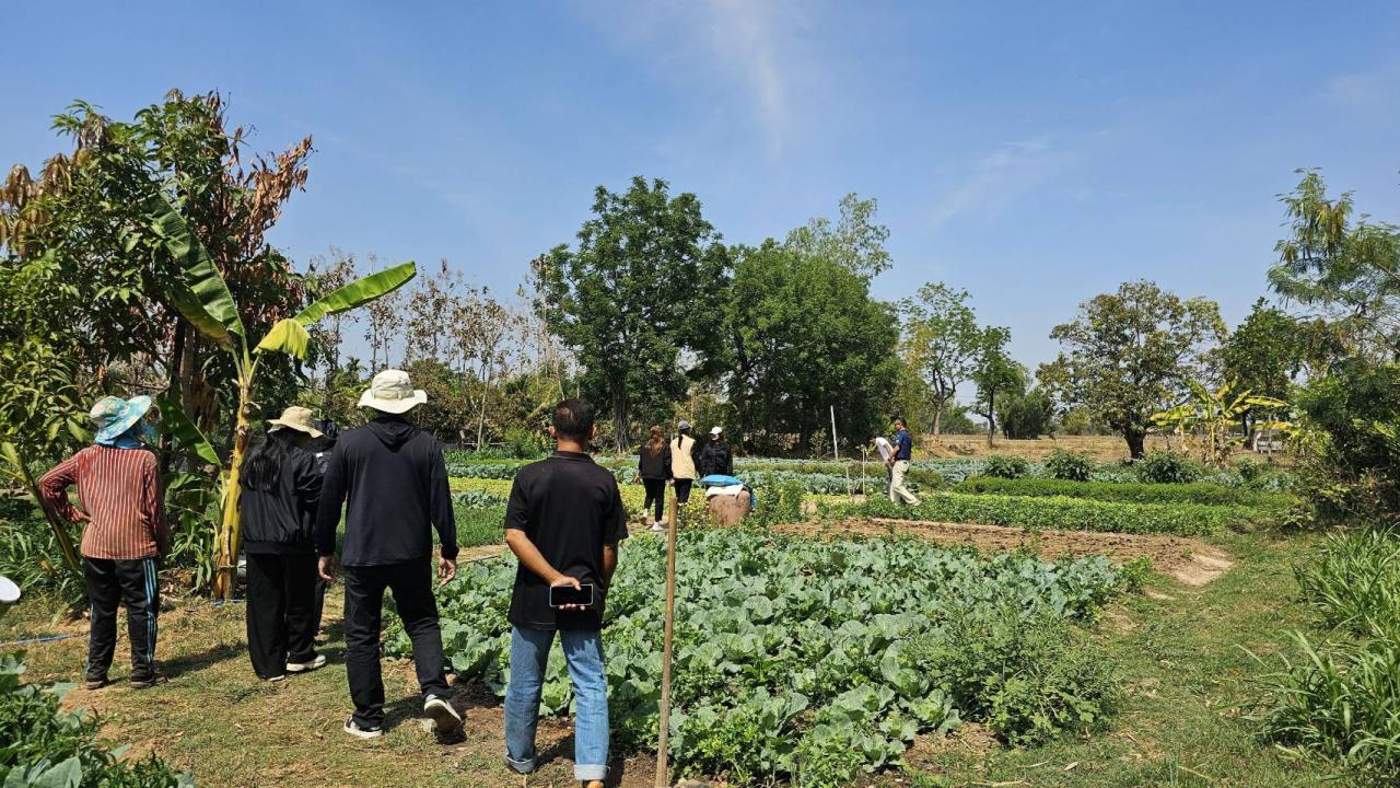 ภาพประกอบที่ 9
