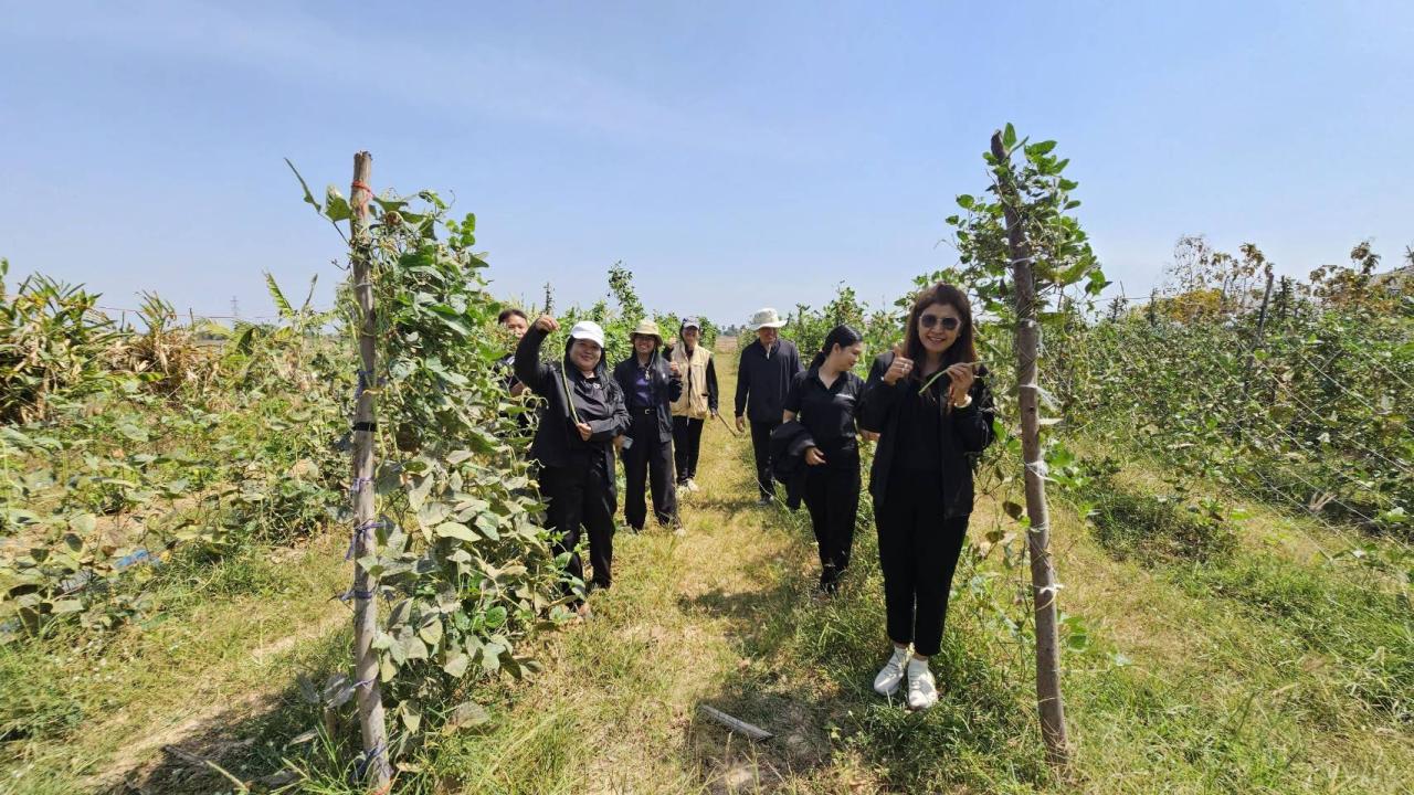 ภาพประกอบที่ 11