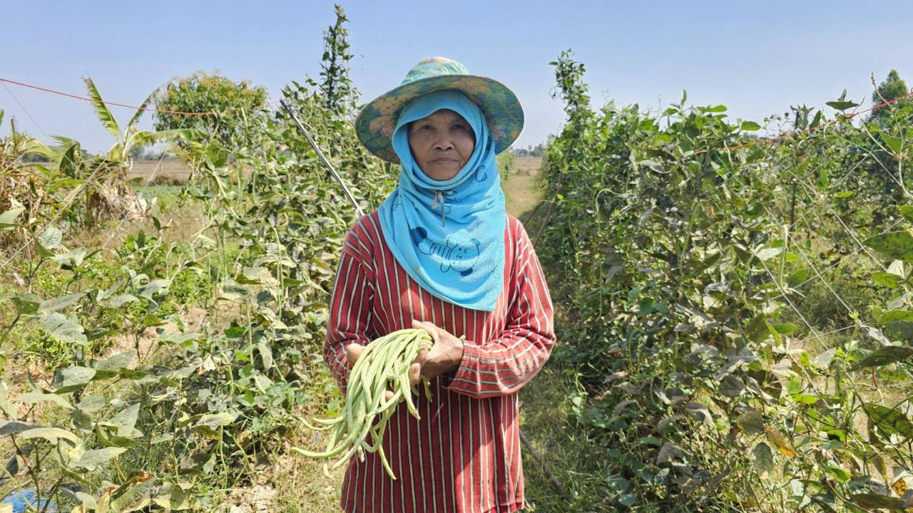 ภาพประกอบที่ 12