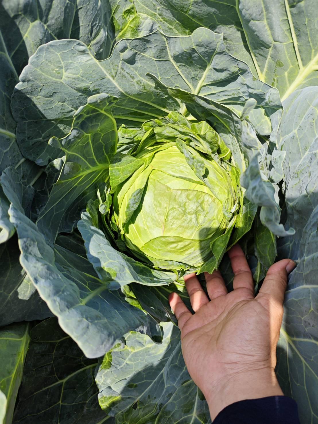 ภาพประกอบที่ 14