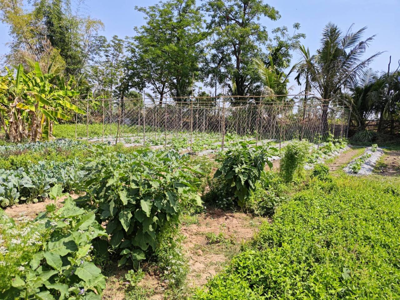 ภาพประกอบที่ 16