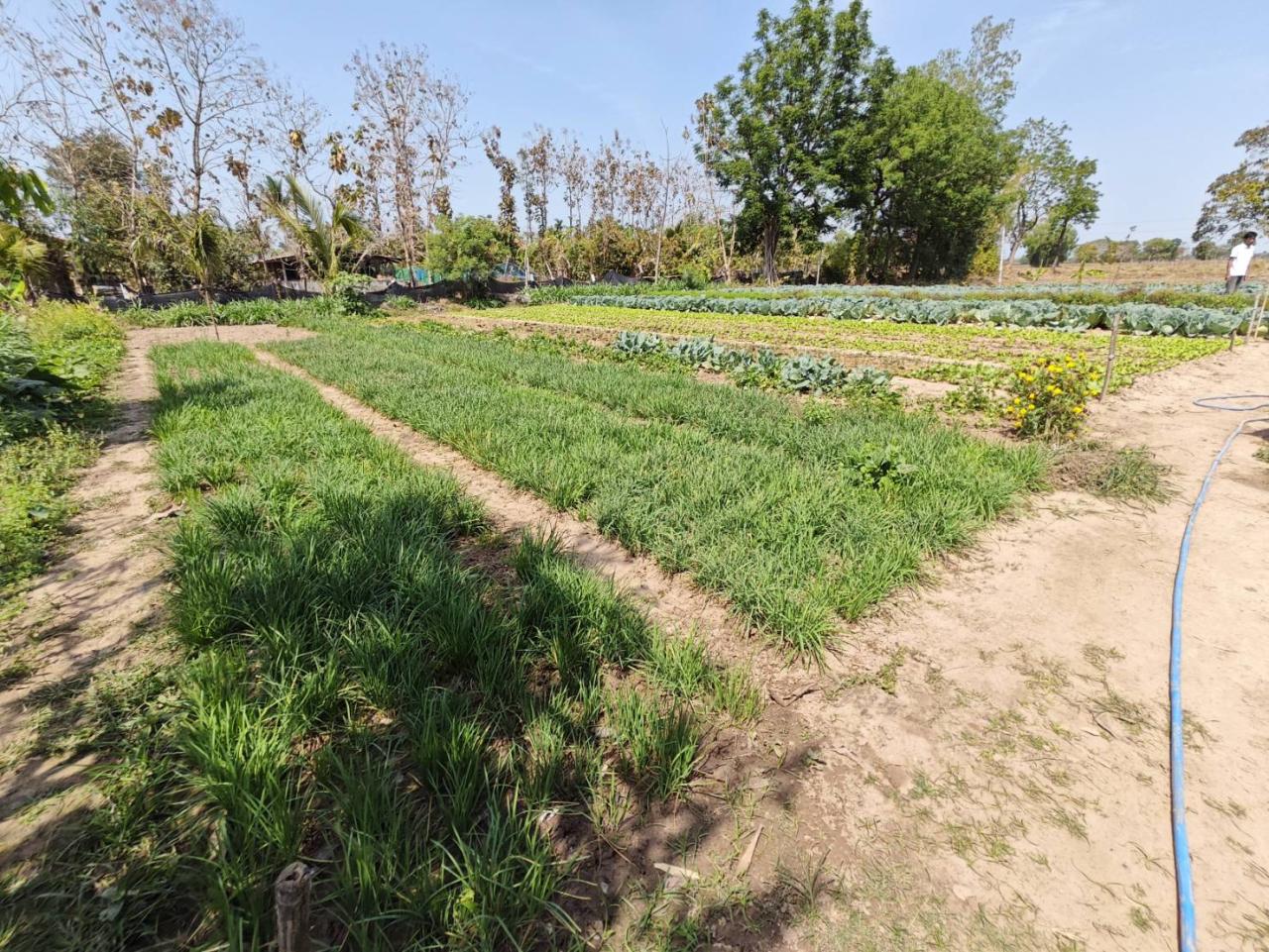 ภาพประกอบที่ 18