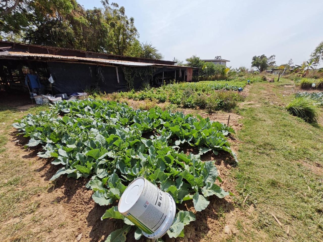 ภาพประกอบที่ 19