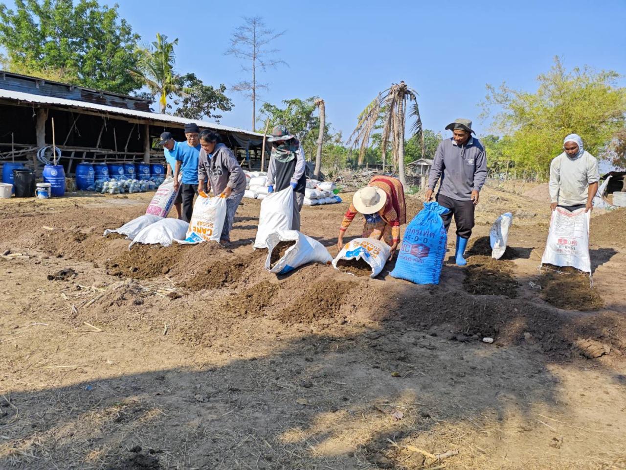 ภาพประกอบที่ 2