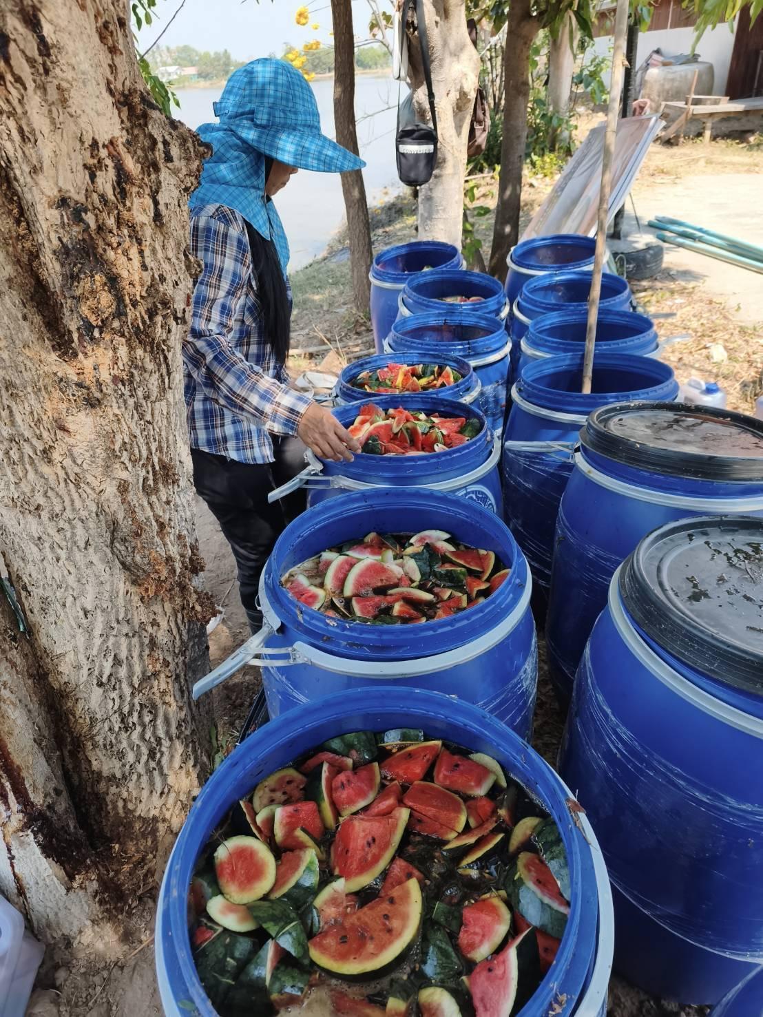 ภาพประกอบที่ 17