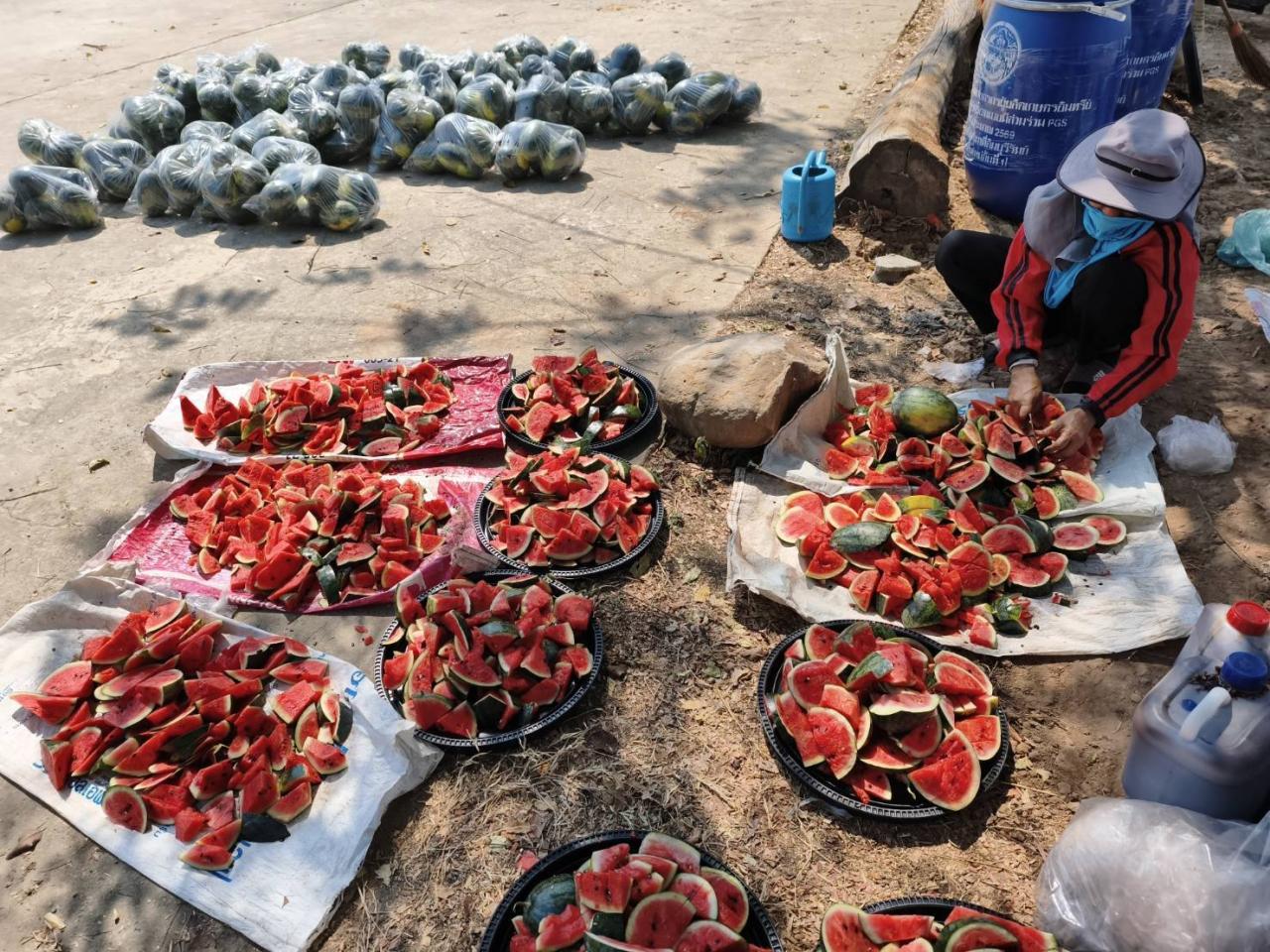 ภาพประกอบที่ 19