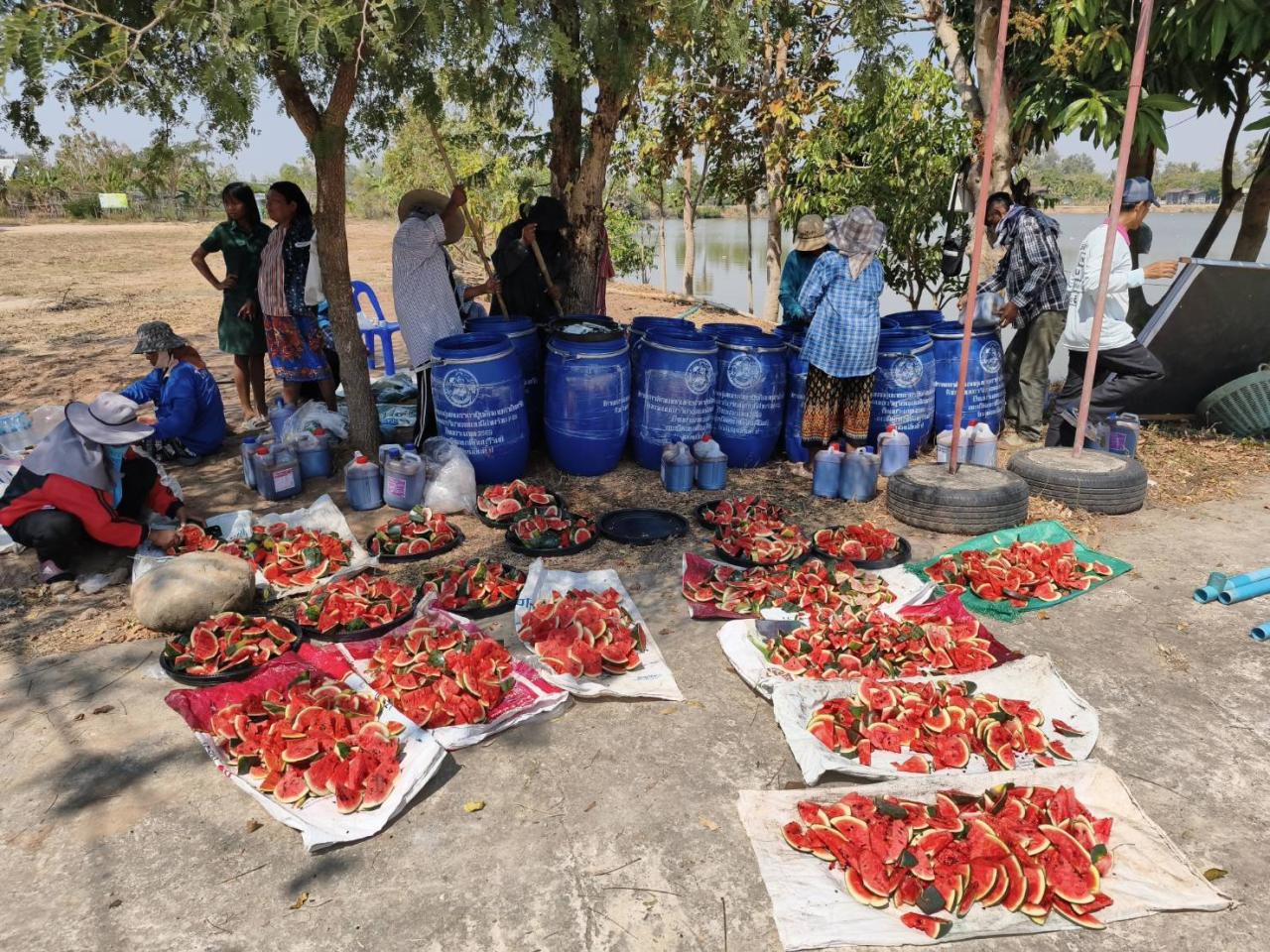 ภาพประกอบที่ 20