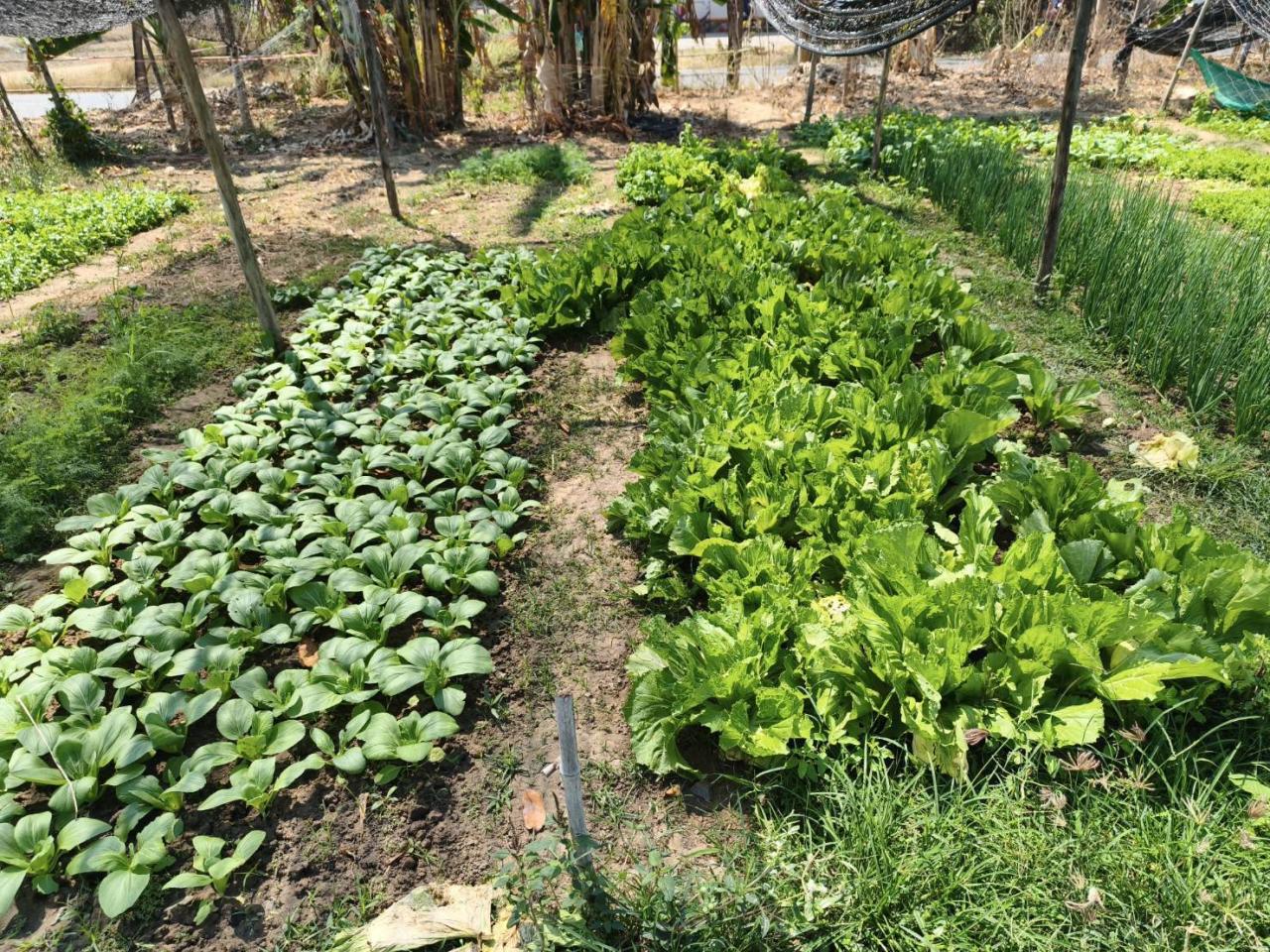 ภาพประกอบที่ 21