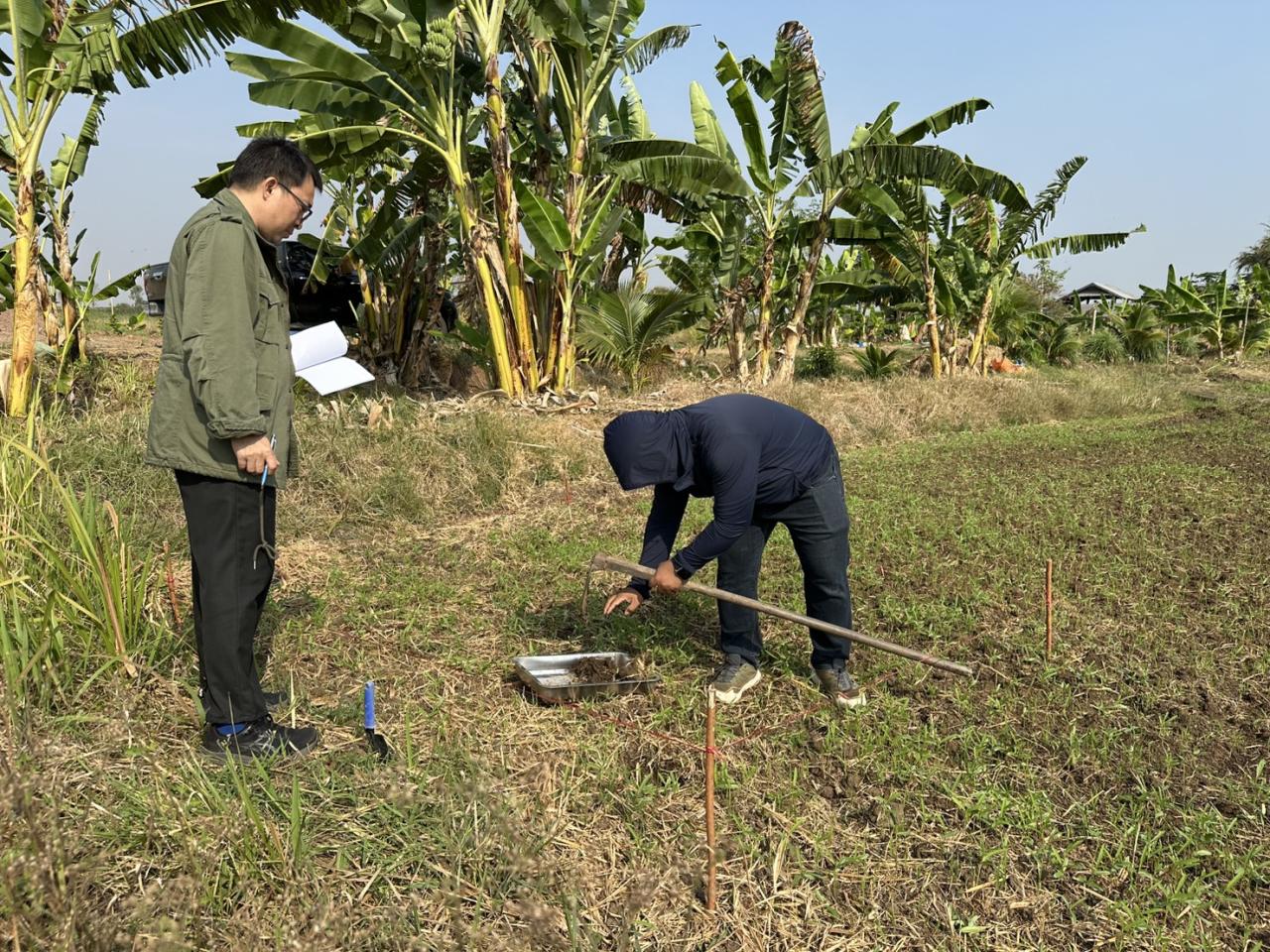 ภาพประกอบที่ 2