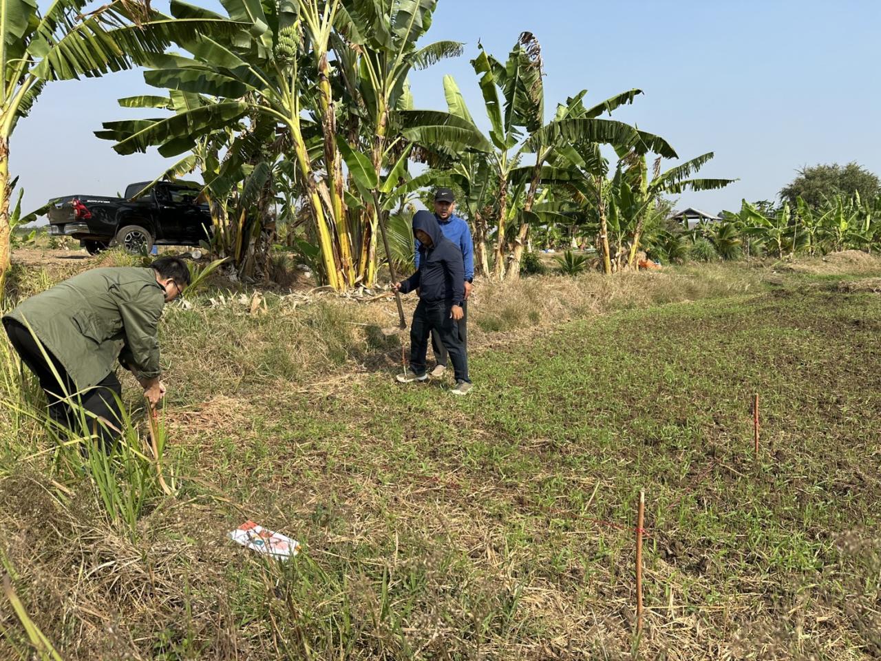 ภาพประกอบที่ 3