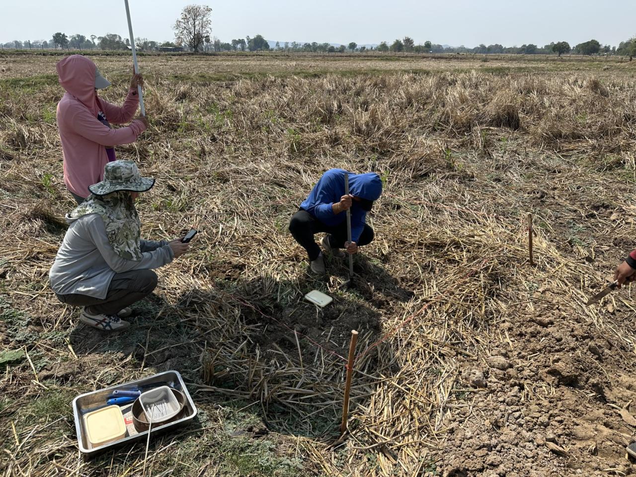 ภาพประกอบที่ 11
