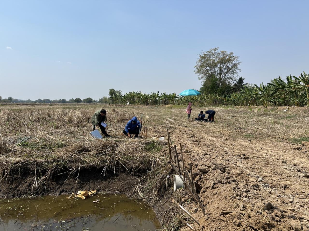 ภาพประกอบที่ 12
