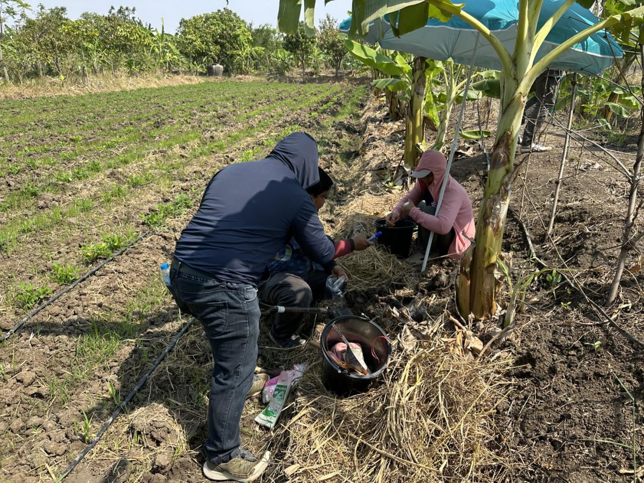 ภาพประกอบที่ 13