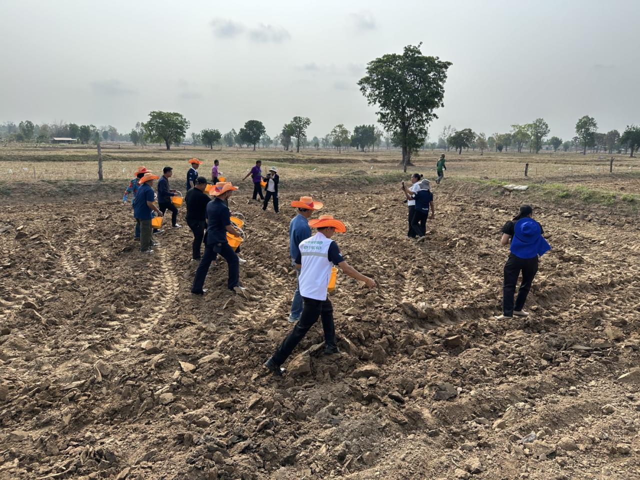 ภาพประกอบที่ 7