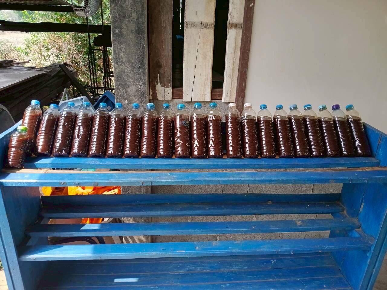 ภาพประกอบที่ 10