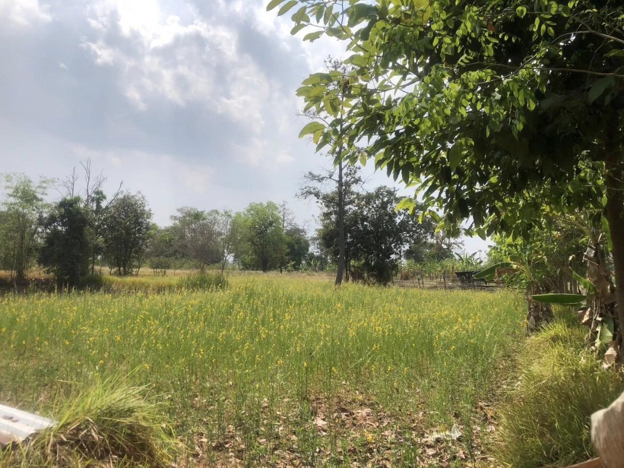 ภาพประกอบที่ 6