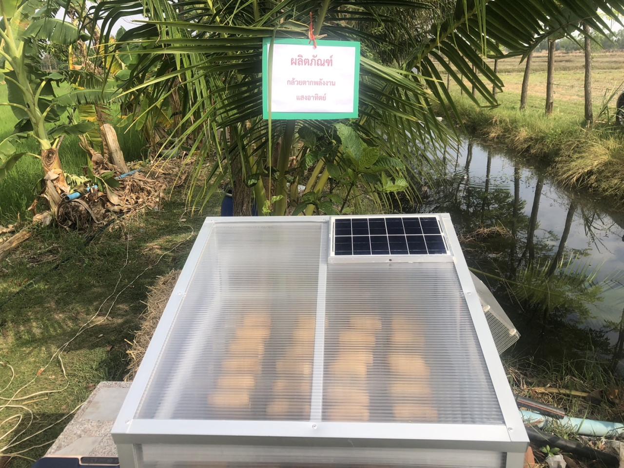 ภาพประกอบที่ 5