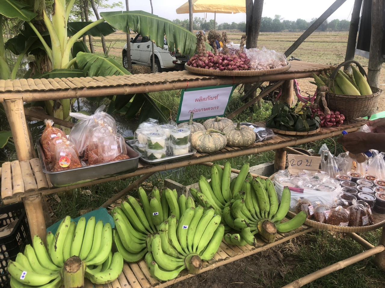 ภาพประกอบที่ 4