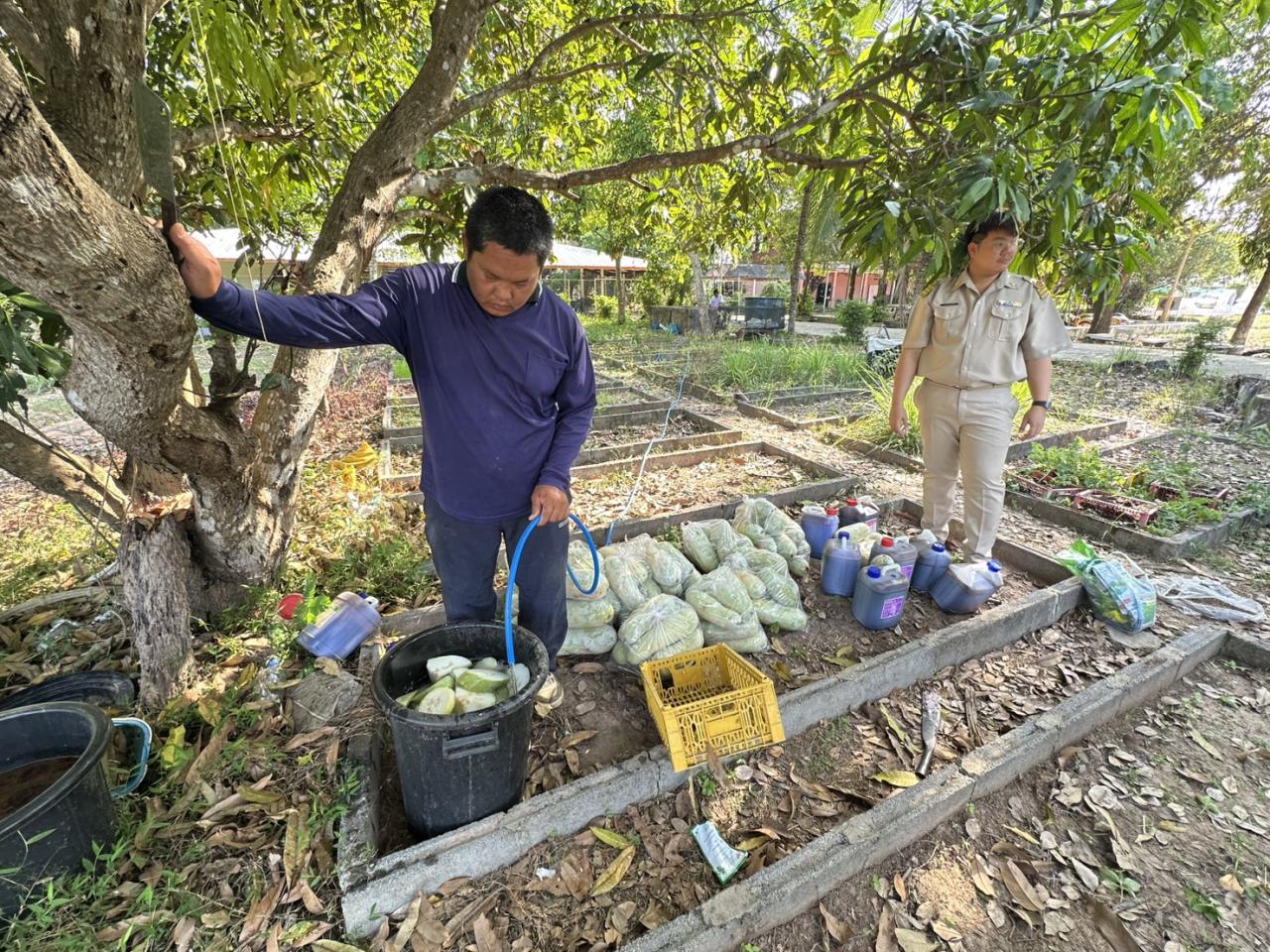 ภาพประกอบที่ 1