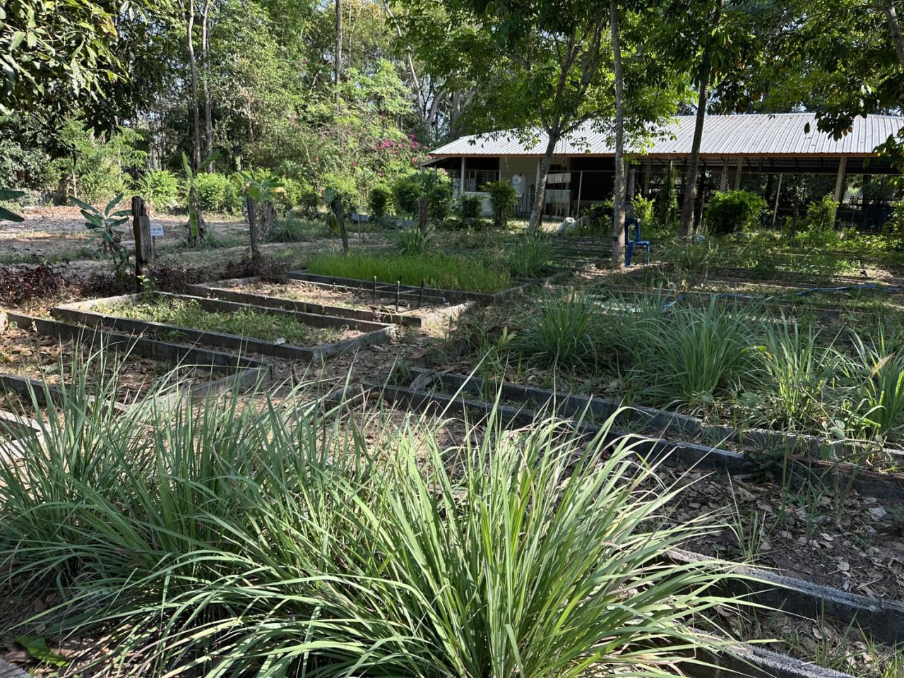 ภาพประกอบที่ 3