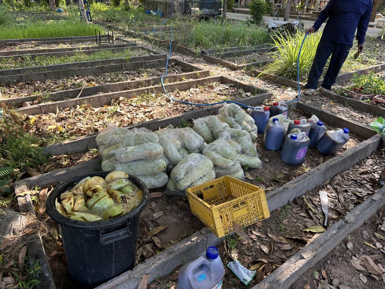 ภาพประกอบที่ 5