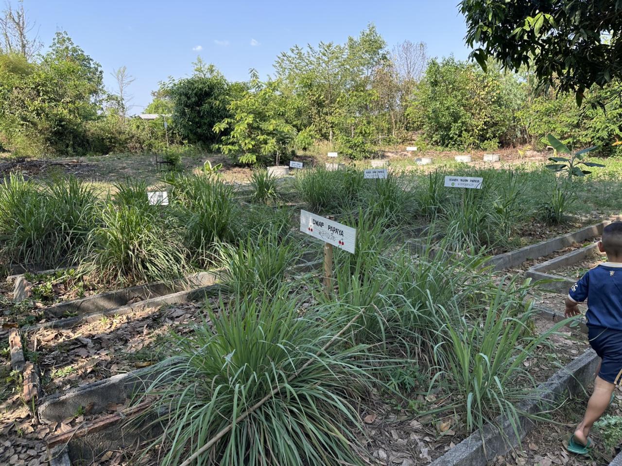 ภาพประกอบที่ 6