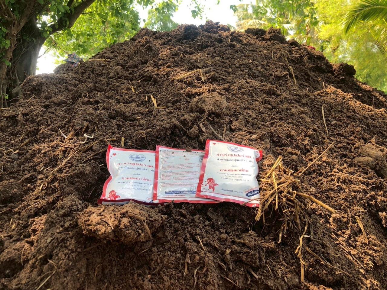 ภาพประกอบที่ 7