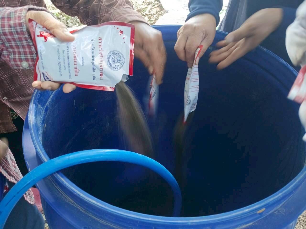 ภาพประกอบที่ 1