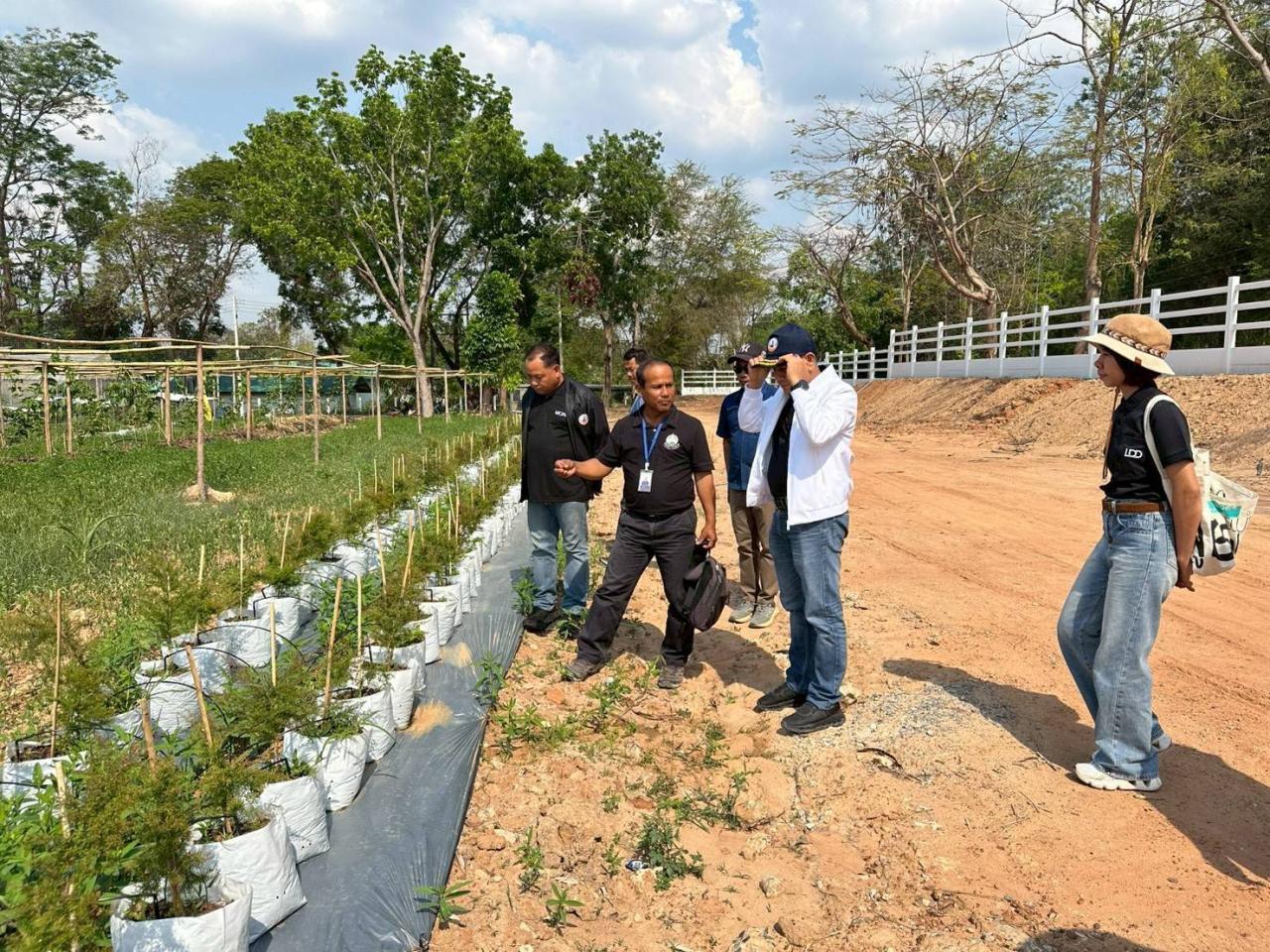 ภาพประกอบที่ 4