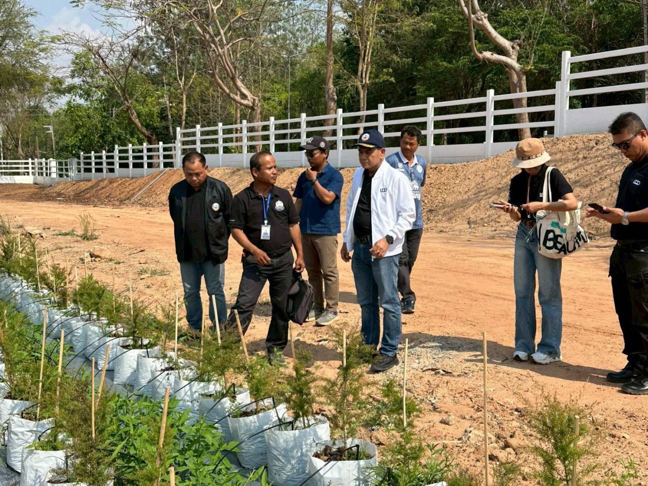 ภาพประกอบที่ 5