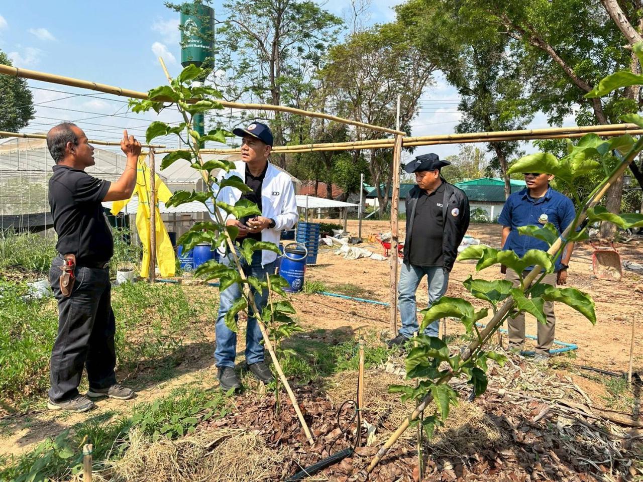 ภาพประกอบที่ 6