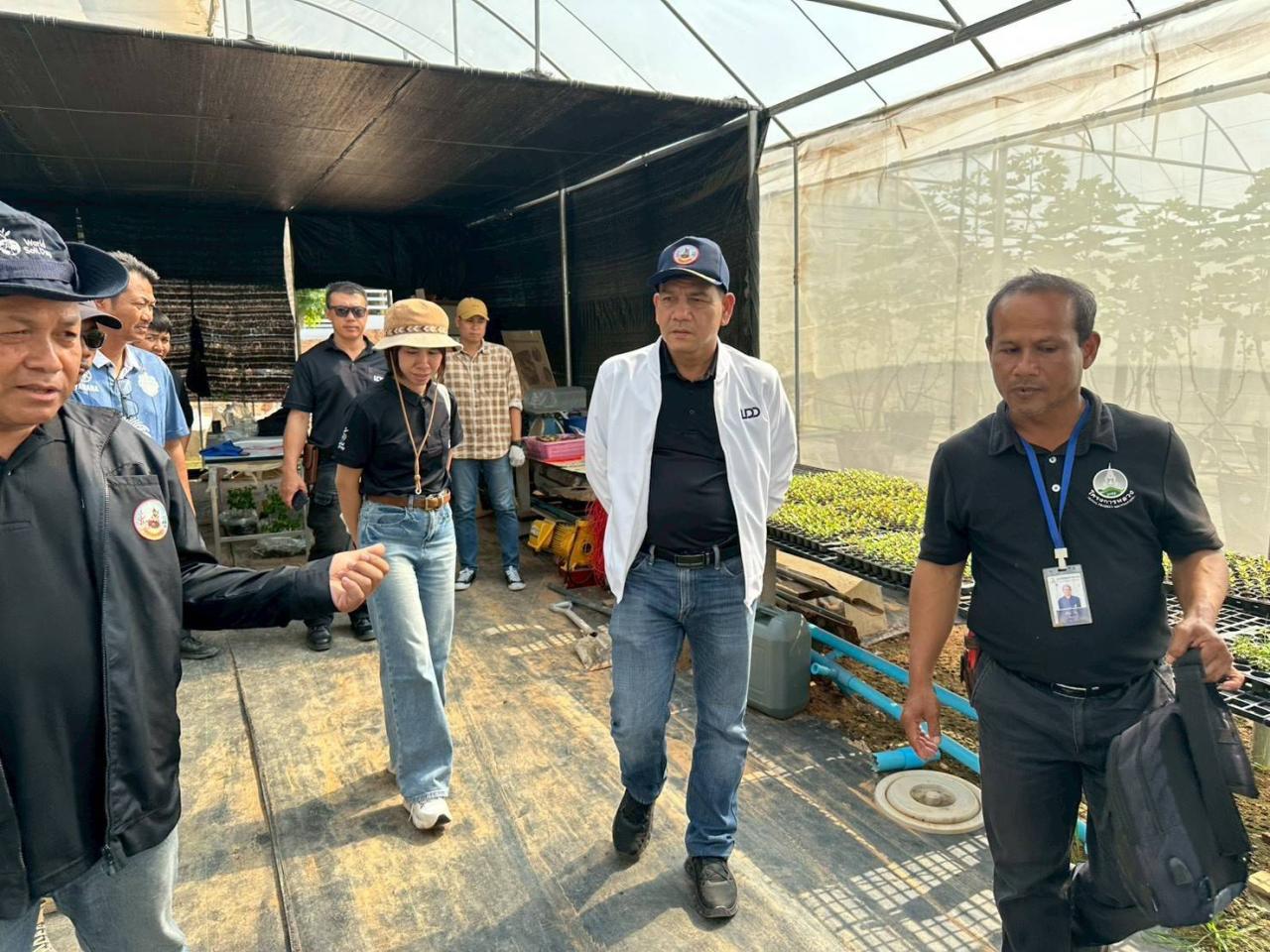 ภาพประกอบที่ 7