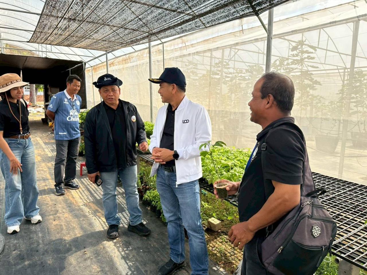 ภาพประกอบที่ 8