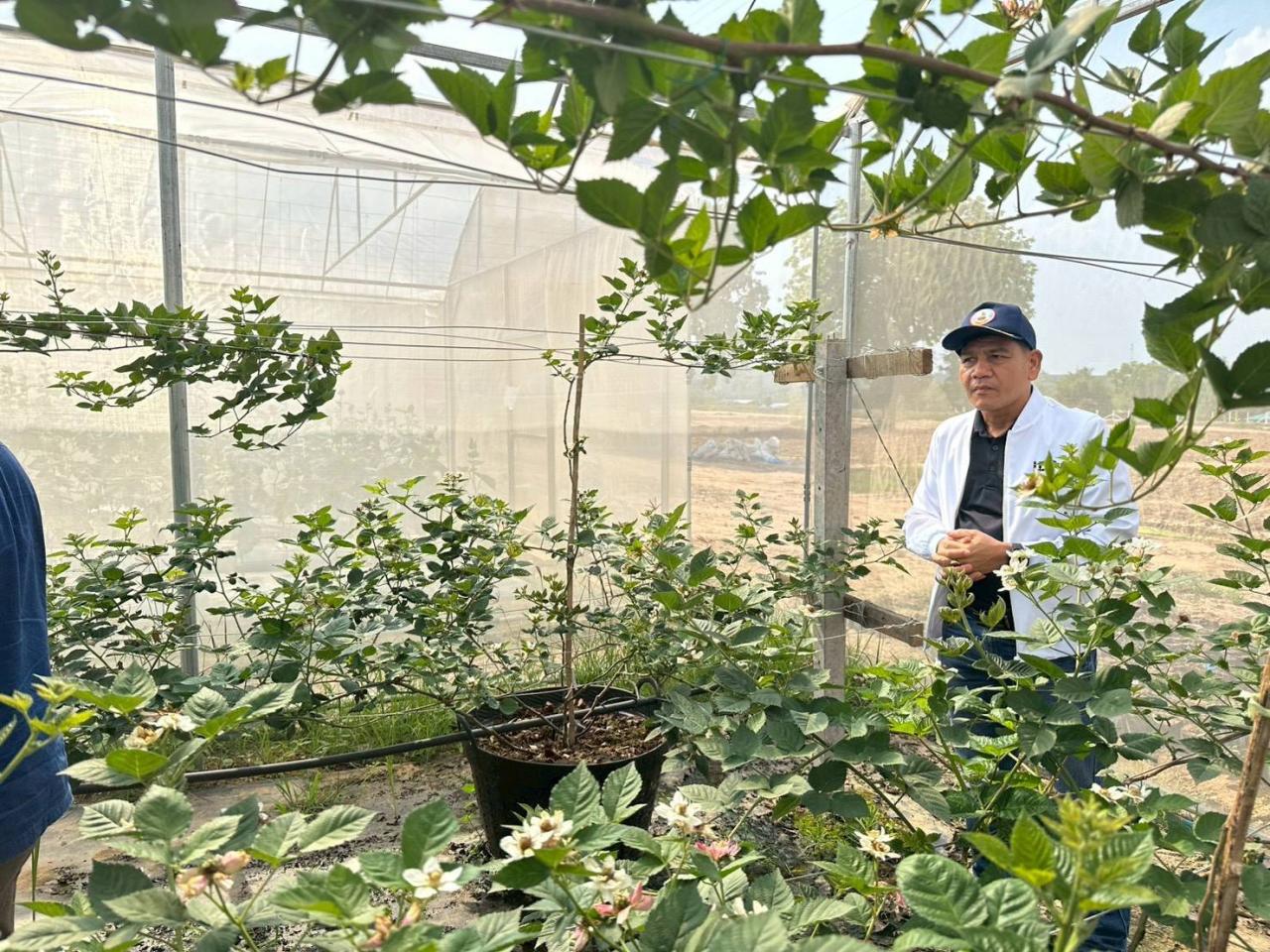 ภาพประกอบที่ 9