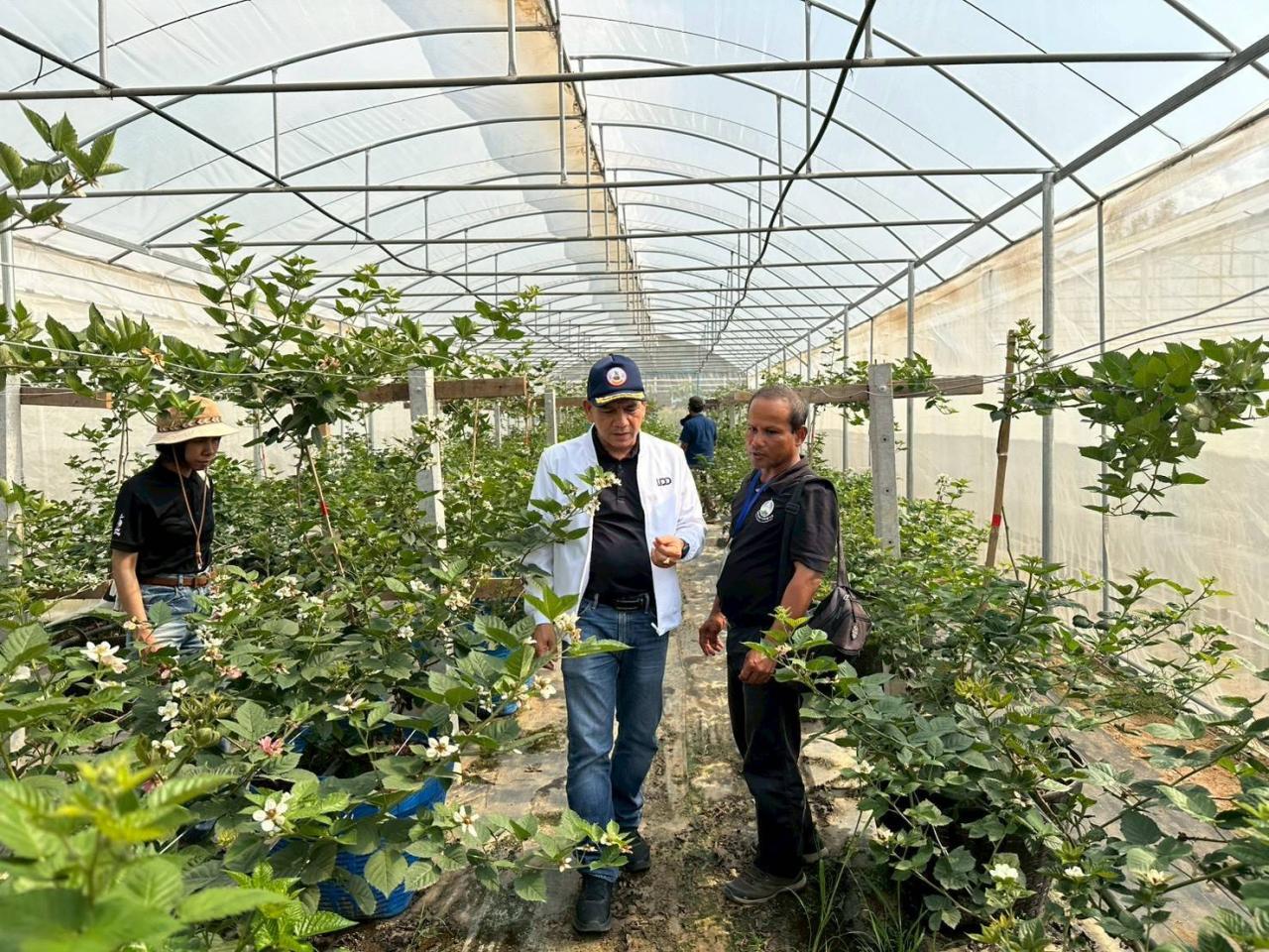 ภาพประกอบที่ 10