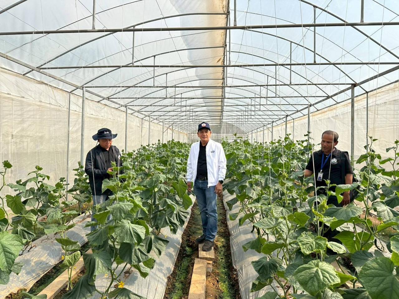 ภาพประกอบที่ 11