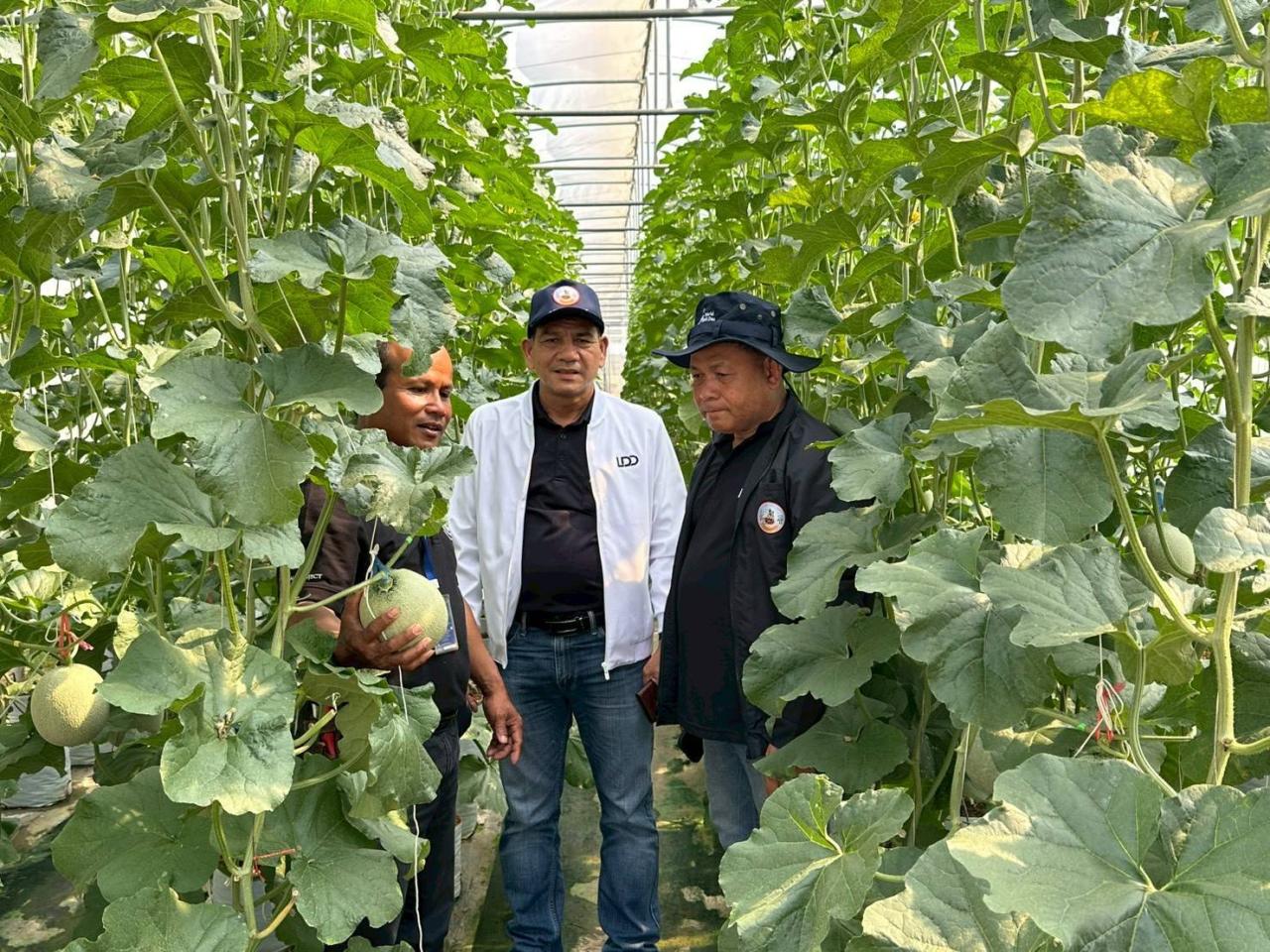 ภาพประกอบที่ 12